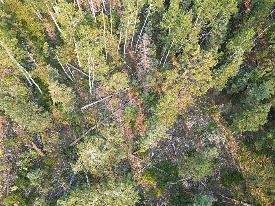 1st image of 48 Ponderosa Way