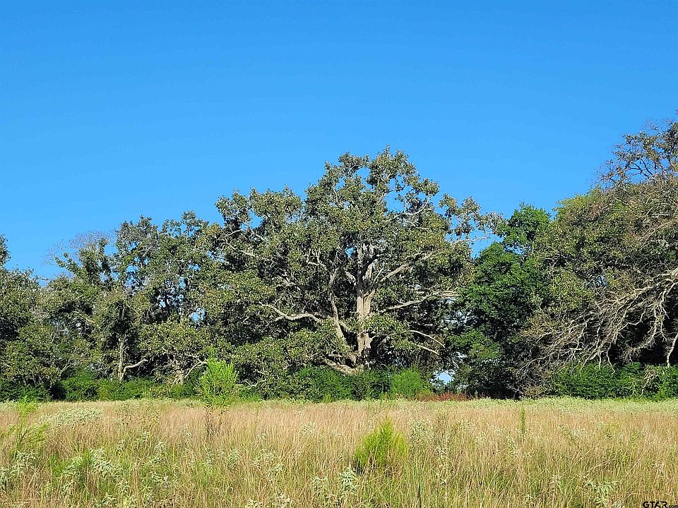 1st image of 22419 County Road 2166