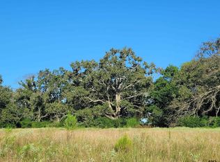 22419 County Road 2166, Troup, TX 75789