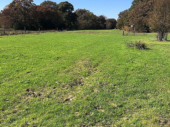 3rd image of 8441 NE County Road 3250