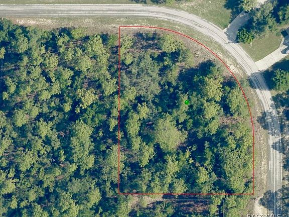 5th image of 3070 W Brazilnut Rd
