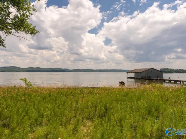 672 Pine Island Cir, Scottsboro, AL 35769