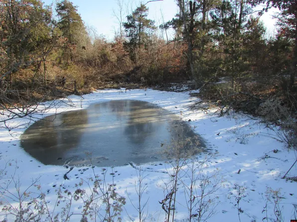 1060230000000 County Road 2570, West Plains, MO 65775