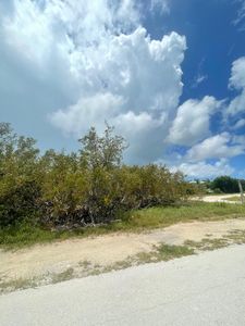 LOT 13 Thatch Ln, Summerland Key, FL, 33042