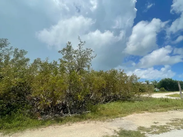 LOT 13 Thatch Ln, Summerland Key, FL 33042