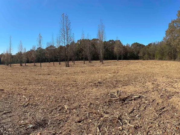 0 Little Red Mountain Rd, Pangburn, AR 72121