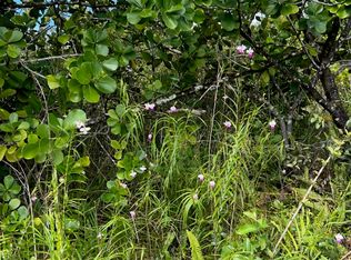 Plumeria Rd LOT 172, Pahoa, HI 96778