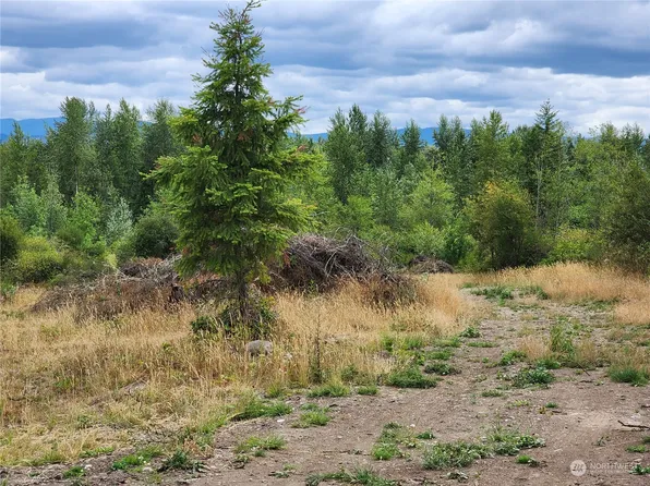 302 390th Street E, Roy, WA 98580