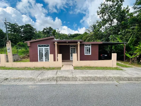 Bo Guayabal 116 Calle 6, Juana Diaz, PR 00795