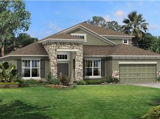 20008 Painting Nature Ln, Tampa, FL 33647