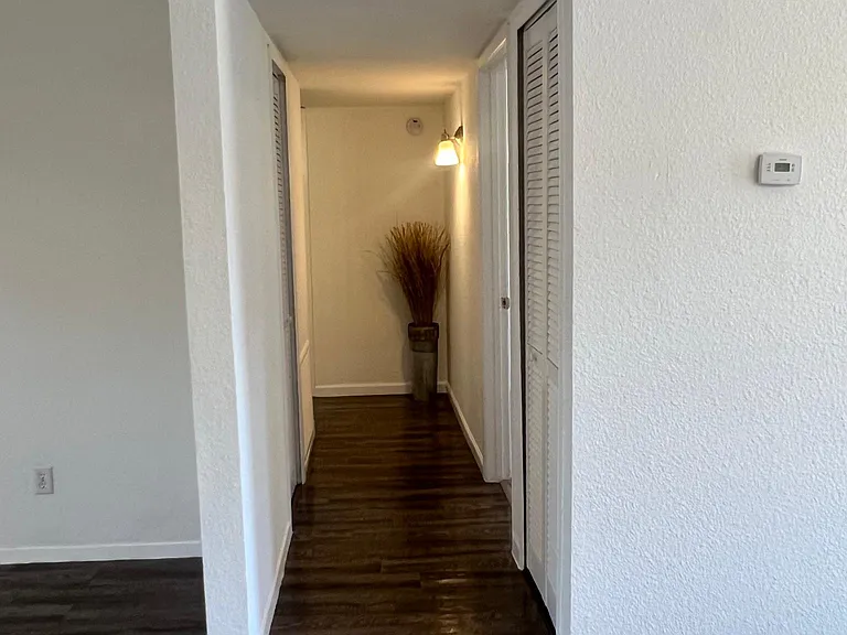 1113 Springwood Dr — Photo 12