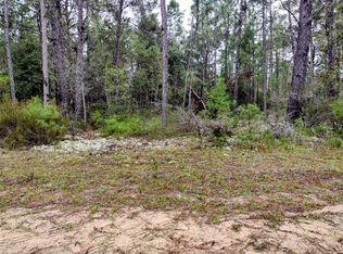 165 7th Way LOT 27, Interlachen, FL 32148