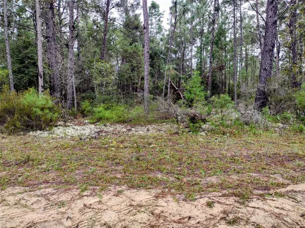 165 7th Way Lot 27, Interlachen, FL 32148