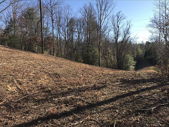 2nd image of 7.5AC Deer Run Trl
