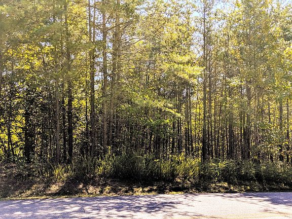 3rd image of 0 Bluegreen Way Lot 51