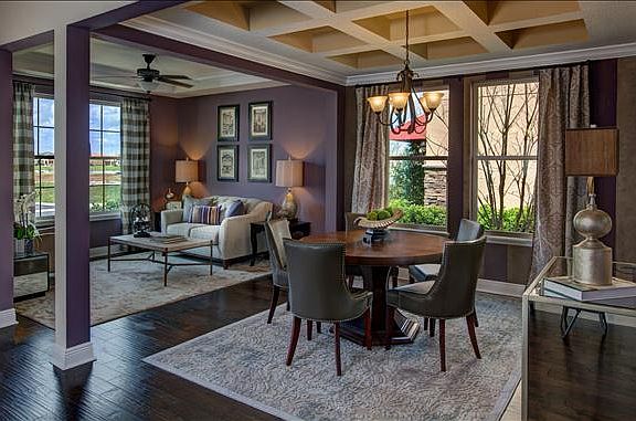 Living & Dining Room
