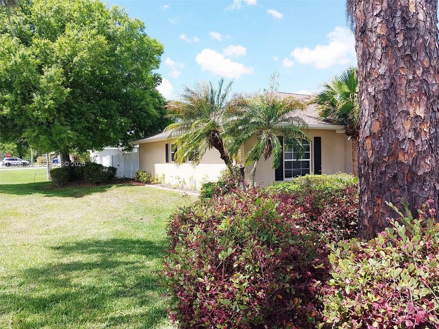 3 bed, 2.0 bath, 1796 sqft, $2,100 — Photo 3