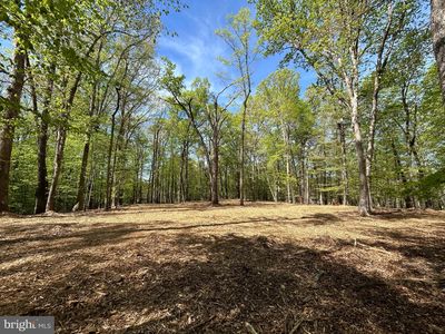 12636 Mill Dam Dr, Clifton, VA, 20124