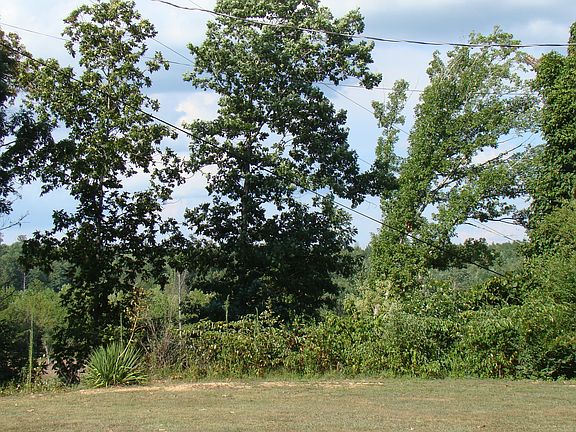 View from front of home