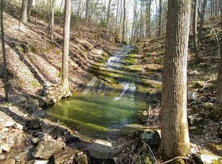 271 Sprouse Hollow Ln, Craigsville, VA 24430