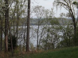 363 Spruce Dr, Spring City, TN 37381