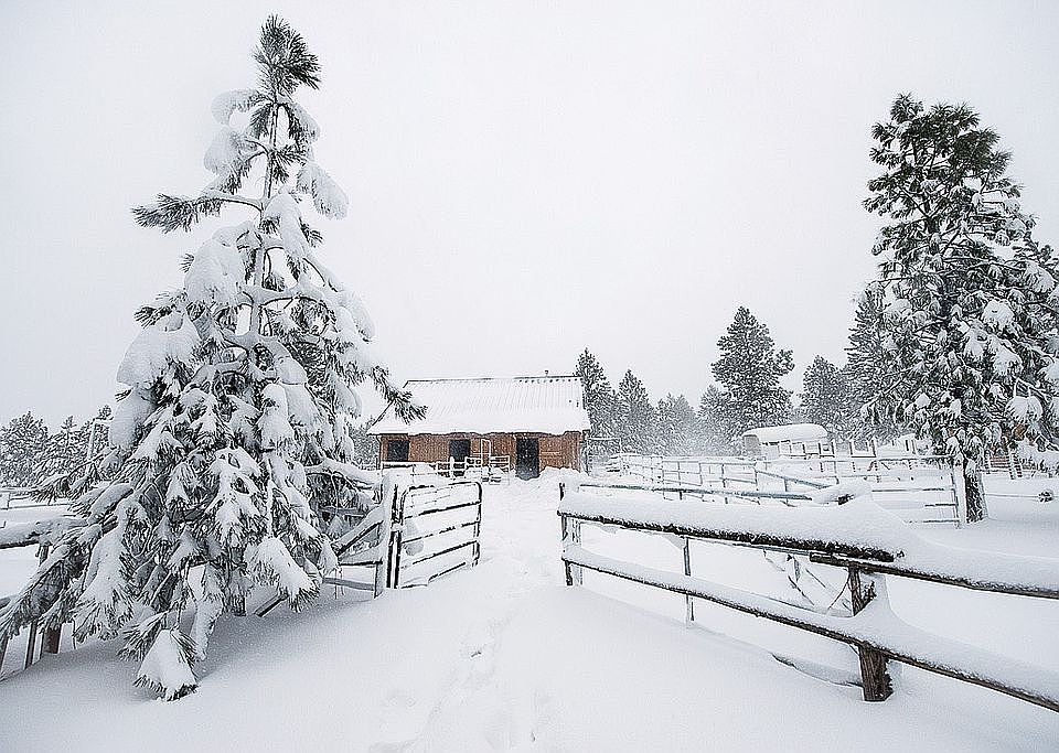 7809 Lewis Peak Rd, Waitsburg, WA 99361 Zillow