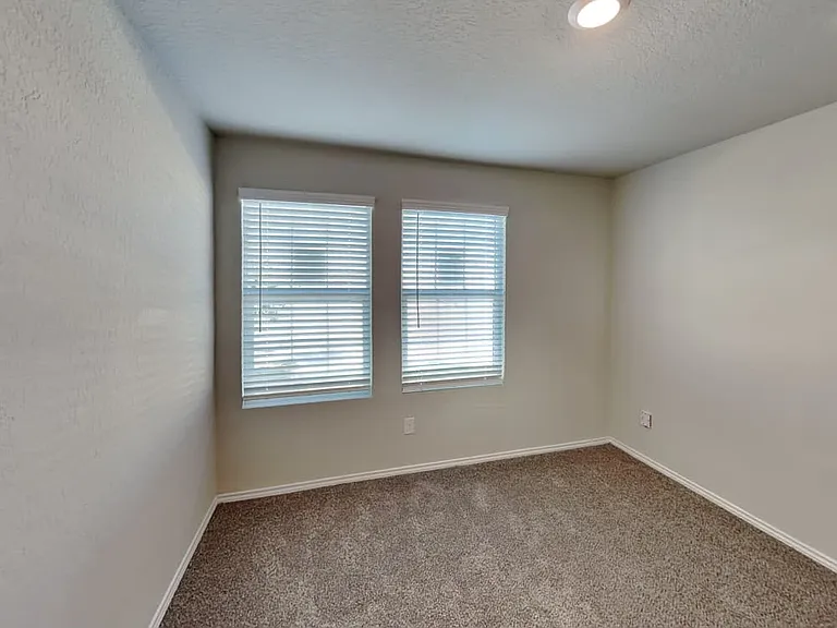 4602 Calaveras Crk — Photo 6