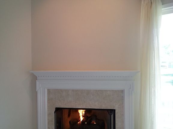 Gas fireplace