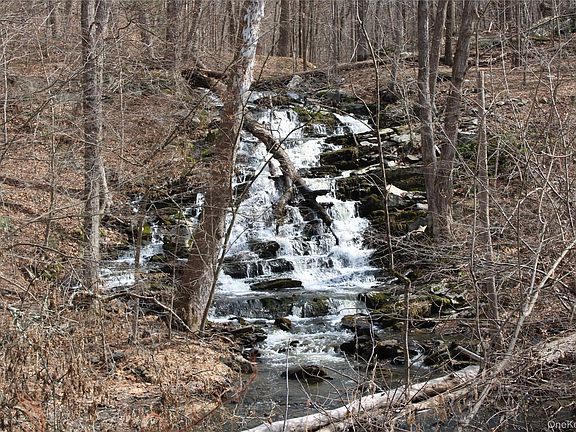 5th image of 19 S Cross Road