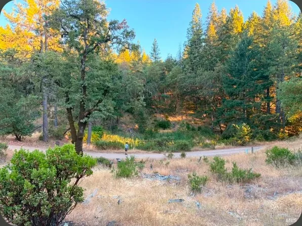 (undisclosed Address), Willits, CA 95490