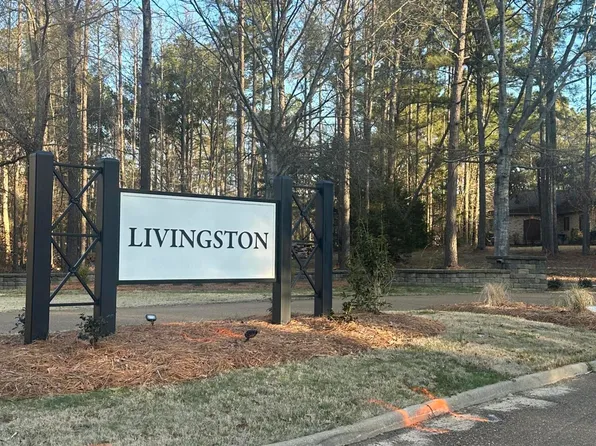LOT 49 Livingston Dr Lot 49, Madison, MS 39110
