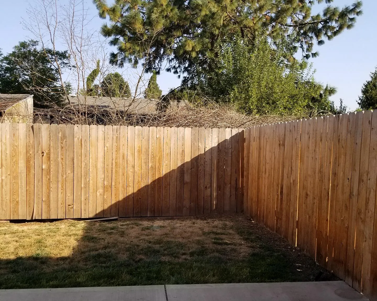 4 bed, 2.5 bath, 1440 sqft, $2,300 — Photo 4