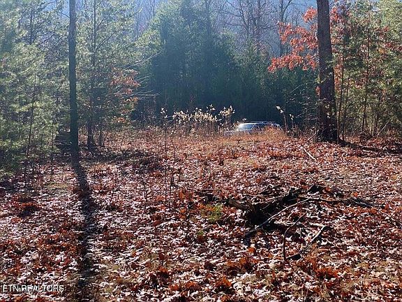 5th image of English Springs Way