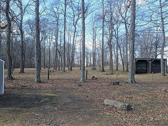 Beautiful view out back