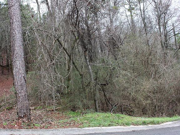 3rd image of 50 Hickory Hills Ln #50