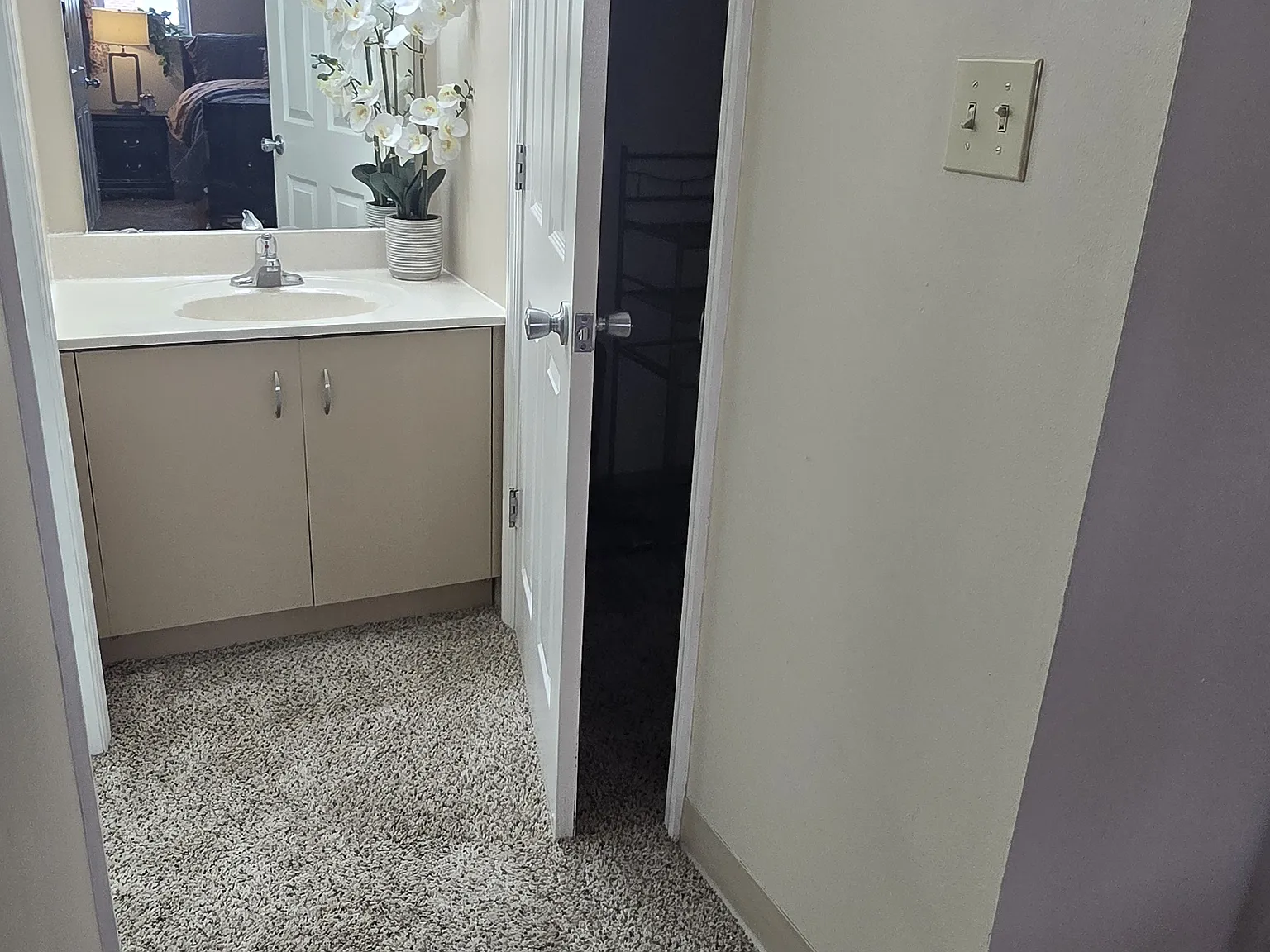 2 bed, 1000 sqft, $1,375 — Photo 3