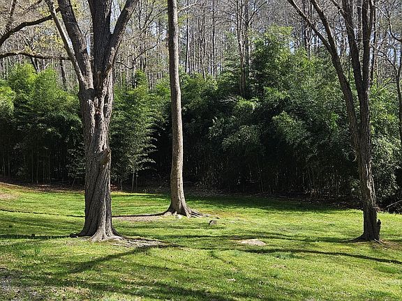 3rd image of 800 Hamlets Chapel Rd Lot 2004