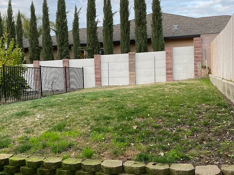 Back yard