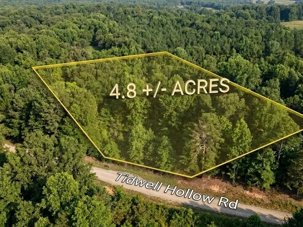 0 Tidwell Hollow Rd #A, Oneonta, AL 35121