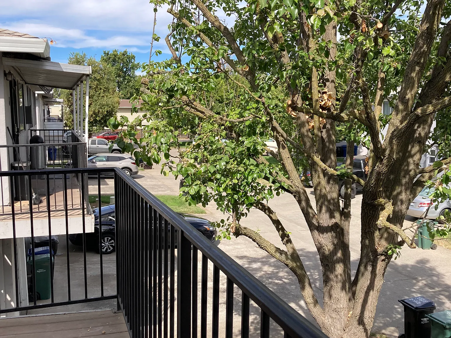 2 bed, 924 sqft, $1,395 — Photo 3