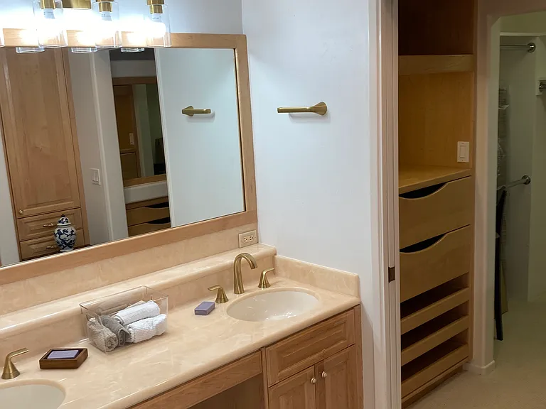 Master Bathroom Dual Sinks