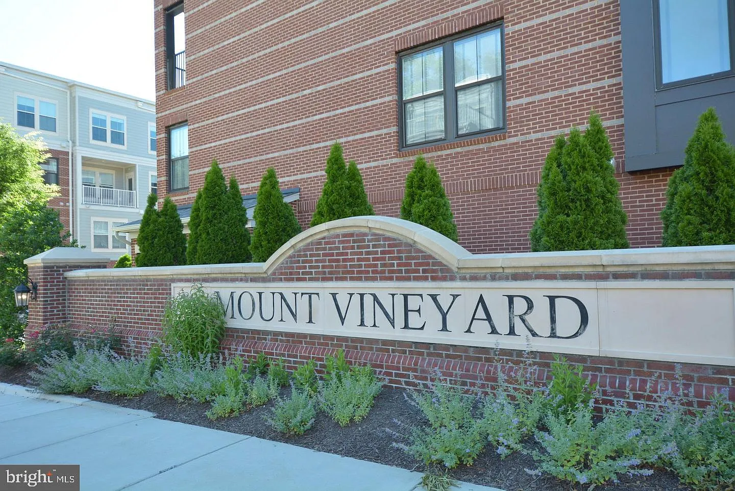 Mount Vineyard — Photo 2