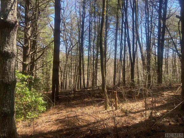 441 Receptive Drive, Glenville, NC 28736
