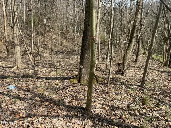 117 Icy Ln, Elizabethton, TN 37643