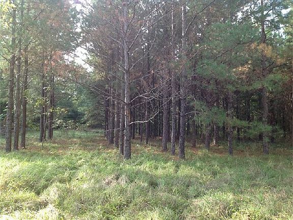 4th image of 119 County Road 911