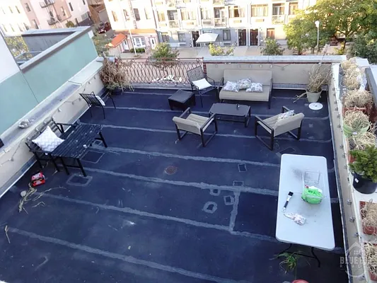 Rented by Blue Egg Realty Corp | media 39
