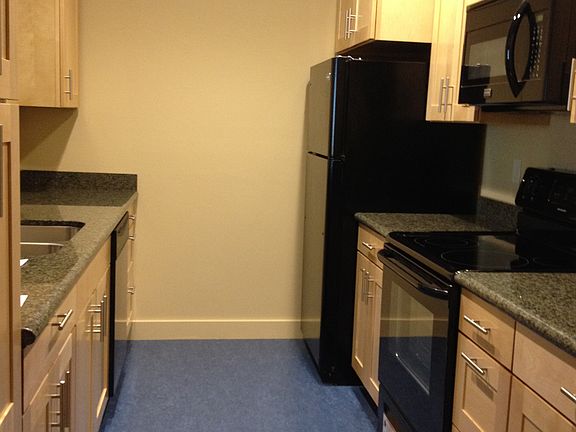 Shaker Maple Cabinets, start of the art appliances