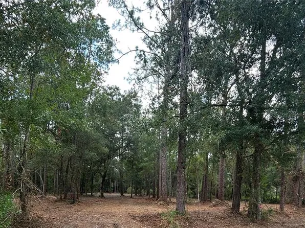 WESTPOINT DRIVE LOT 474, WESLEY CHAPEL, FL 33544