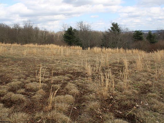 5th image of LOT 10 Cascade Rd