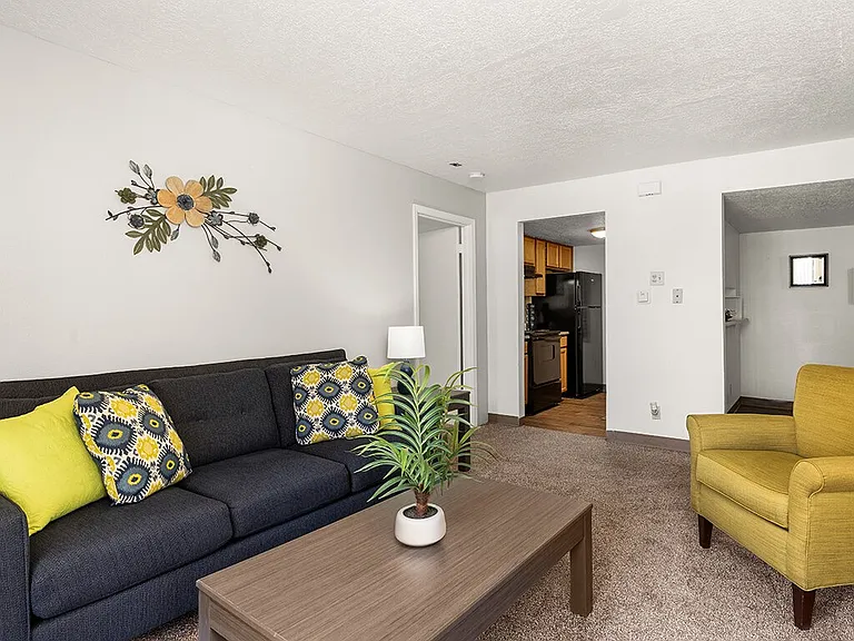 Plush and Cozy Carpeting